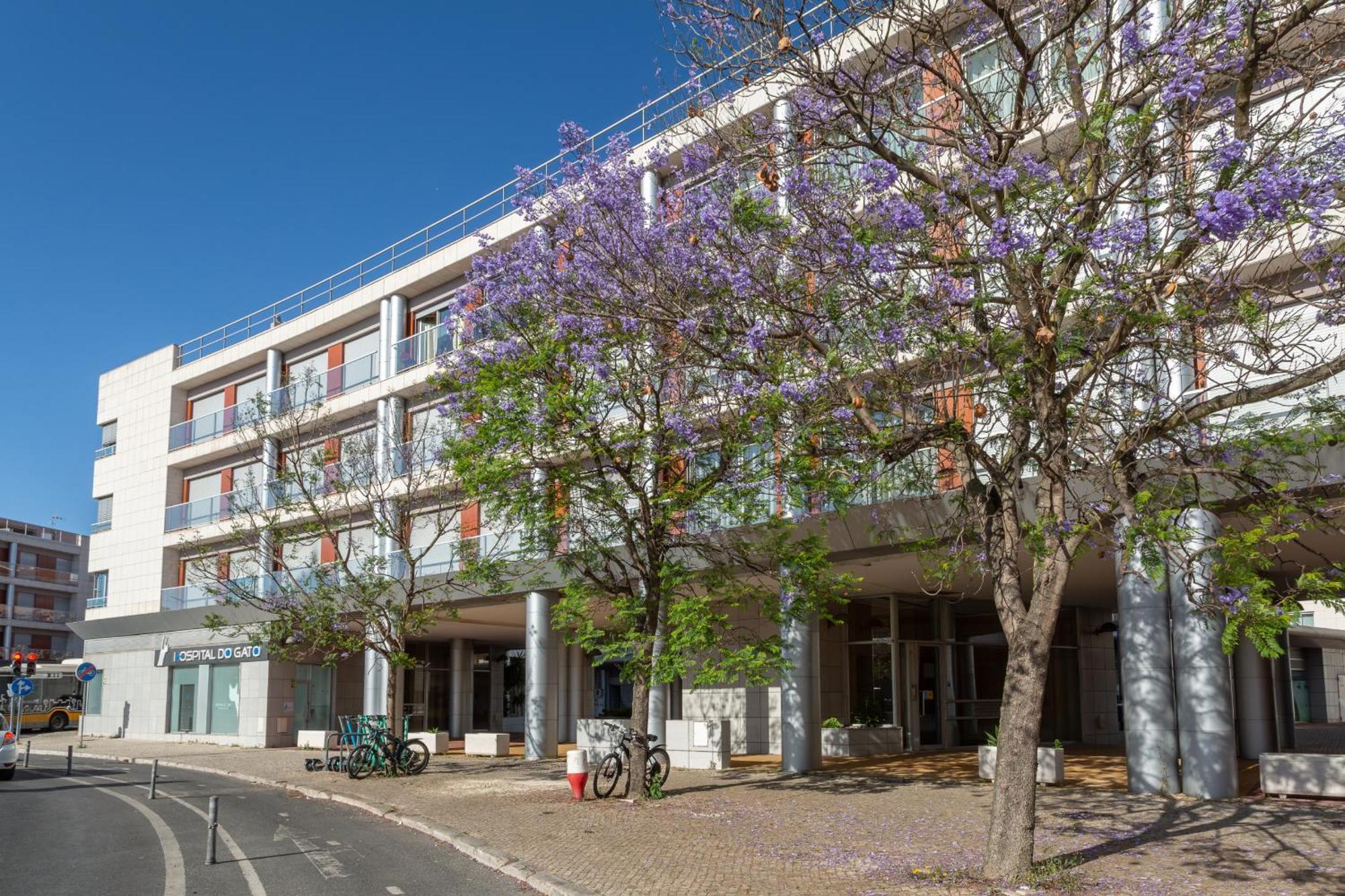 Beguest Premium Lisbon Suites מראה חיצוני תמונה